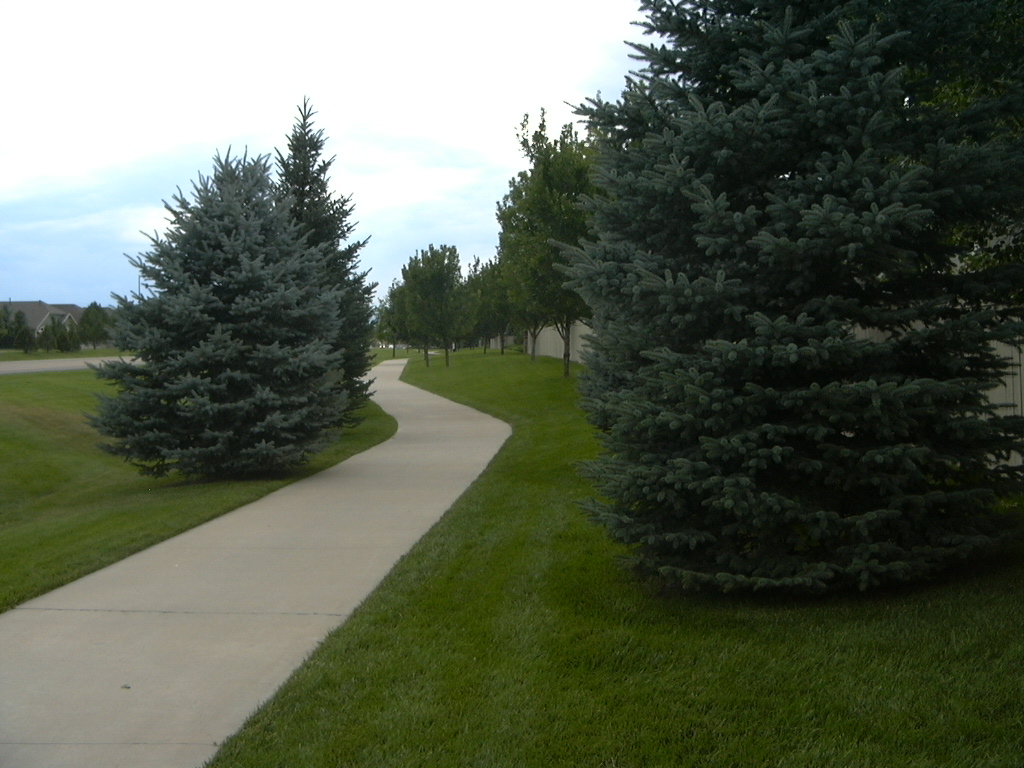 the common area, along 17th Ave