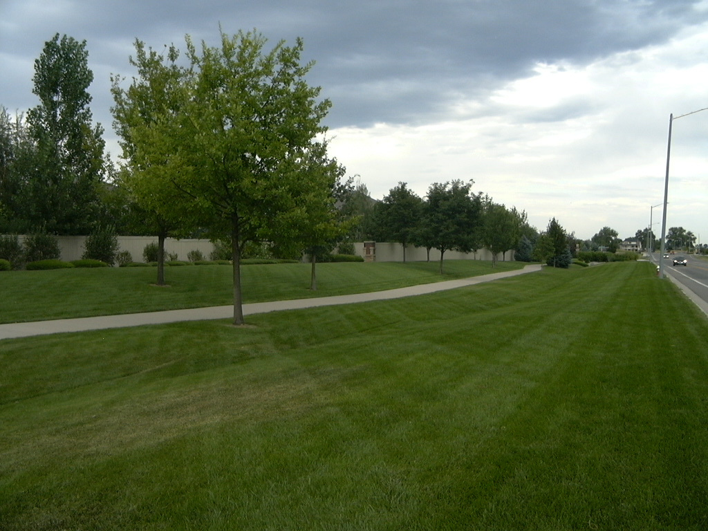 the common area, along 17th Ave