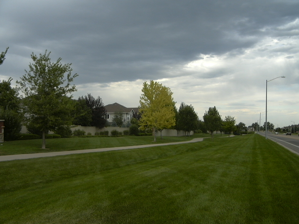 the common area, along 17th Ave