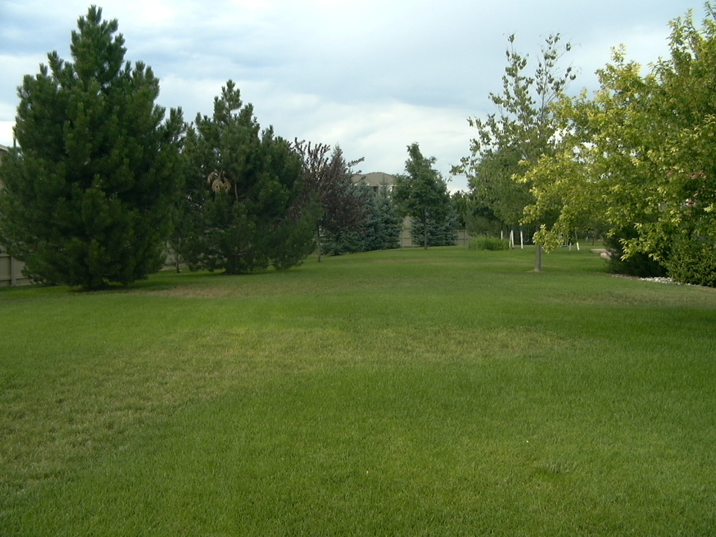 common area, enclosed within The Reserve