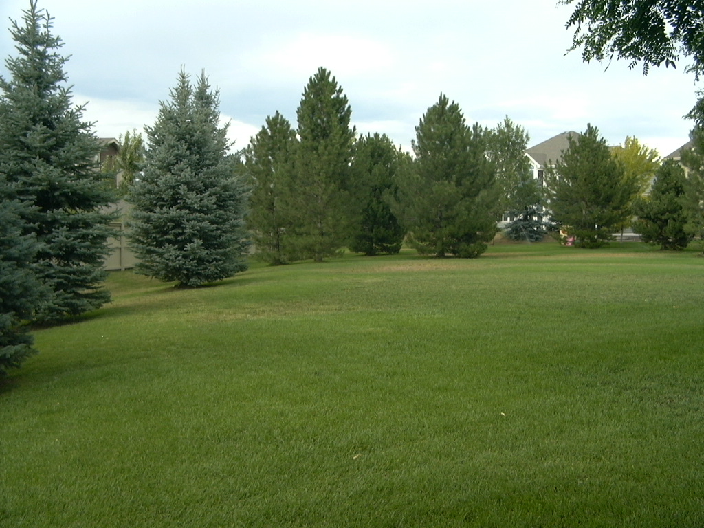 common area, enclosed within The Reserve