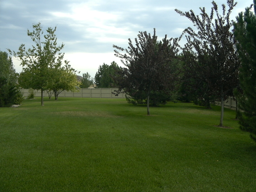 common area, enclosed within The Reserve