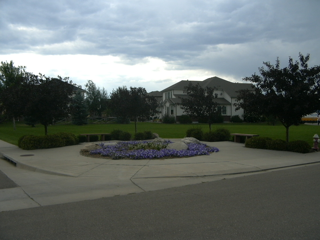 flowerbeds in The Reserve