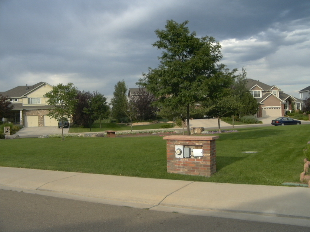 flowerbeds in The Reserve
