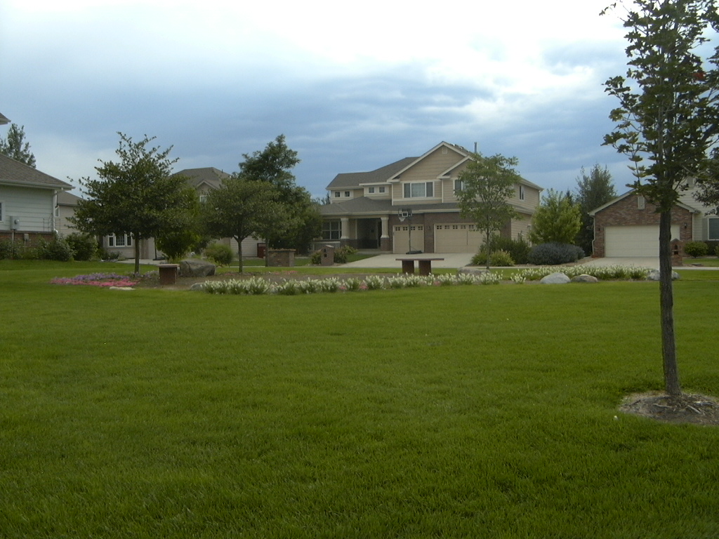 flowerbeds in The Reserve